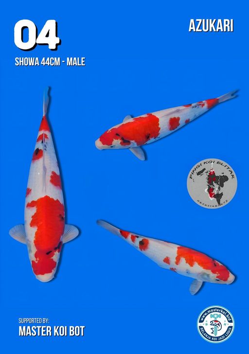 Lelang Koi Online, Jual Beli Ikan Koi, Pusat Jual Beli Koi, Info Lelang Koi Hari Ini, Platform Jual Beli Koi, Jual Beli Ikan Koi Online, Marketplace Ikan Koi, Jual Koi Terbaik, Tempat Beli Koi Berkualitas, Pasar Ikan Koi Online Terpercaya, Penjual Ikan Koi Terpercaya, Beli Koi Hias Online, Ikan Koi untuk Dijual, Koi Kualitas Terbaik, Toko Online Ikan Koi, Koi Hias Untuk Dijual, Jual Beli Ikan Koi Lokal, Koi Indonesia Online, Pusat Jual Beli Koi Terbesar