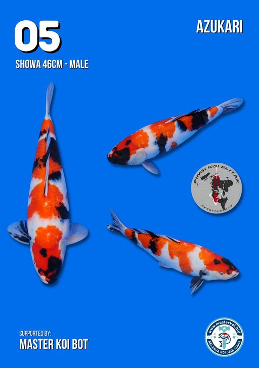 Lelang Koi Online, Jual Beli Ikan Koi, Pusat Jual Beli Koi, Info Lelang Koi Hari Ini, Platform Jual Beli Koi, Jual Beli Ikan Koi Online, Marketplace Ikan Koi, Jual Koi Terbaik, Tempat Beli Koi Berkualitas, Pasar Ikan Koi Online Terpercaya, Penjual Ikan Koi Terpercaya, Beli Koi Hias Online, Ikan Koi untuk Dijual, Koi Kualitas Terbaik, Toko Online Ikan Koi, Koi Hias Untuk Dijual, Jual Beli Ikan Koi Lokal, Koi Indonesia Online, Pusat Jual Beli Koi Terbesar