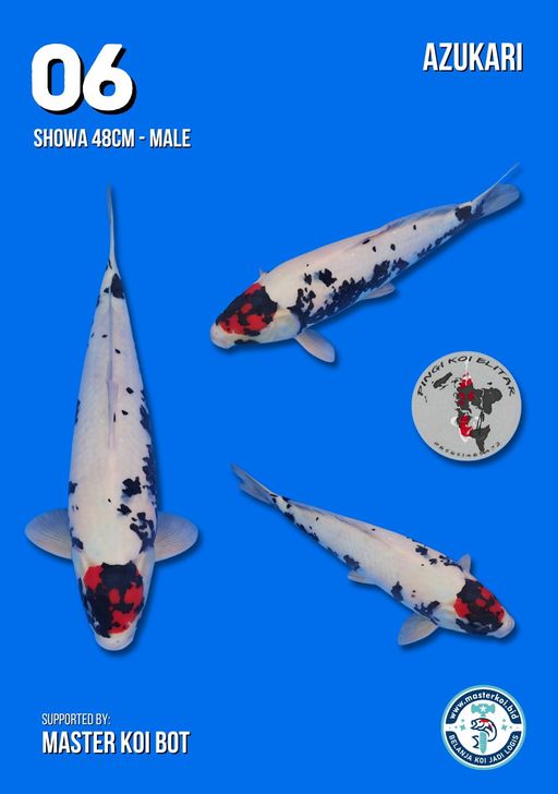 Lelang Koi Online, Jual Beli Ikan Koi, Pusat Jual Beli Koi, Info Lelang Koi Hari Ini, Platform Jual Beli Koi, Jual Beli Ikan Koi Online, Marketplace Ikan Koi, Jual Koi Terbaik, Tempat Beli Koi Berkualitas, Pasar Ikan Koi Online Terpercaya, Penjual Ikan Koi Terpercaya, Beli Koi Hias Online, Ikan Koi untuk Dijual, Koi Kualitas Terbaik, Toko Online Ikan Koi, Koi Hias Untuk Dijual, Jual Beli Ikan Koi Lokal, Koi Indonesia Online, Pusat Jual Beli Koi Terbesar