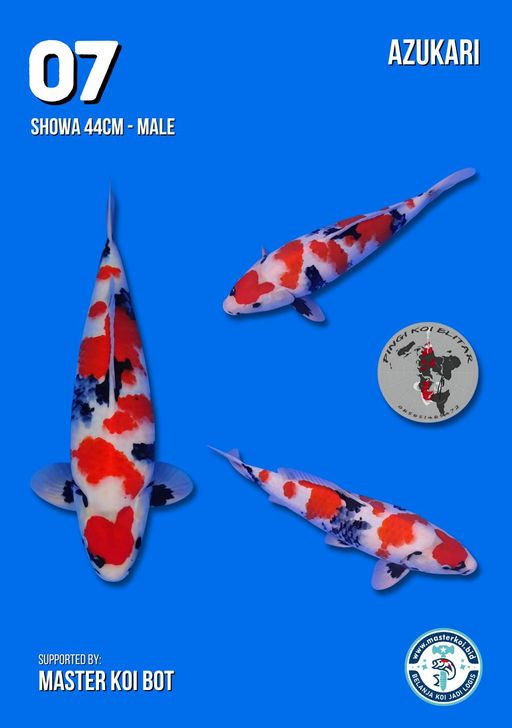 Lelang Koi Online, Jual Beli Ikan Koi, Pusat Jual Beli Koi, Info Lelang Koi Hari Ini, Platform Jual Beli Koi, Jual Beli Ikan Koi Online, Marketplace Ikan Koi, Jual Koi Terbaik, Tempat Beli Koi Berkualitas, Pasar Ikan Koi Online Terpercaya, Penjual Ikan Koi Terpercaya, Beli Koi Hias Online, Ikan Koi untuk Dijual, Koi Kualitas Terbaik, Toko Online Ikan Koi, Koi Hias Untuk Dijual, Jual Beli Ikan Koi Lokal, Koi Indonesia Online, Pusat Jual Beli Koi Terbesar