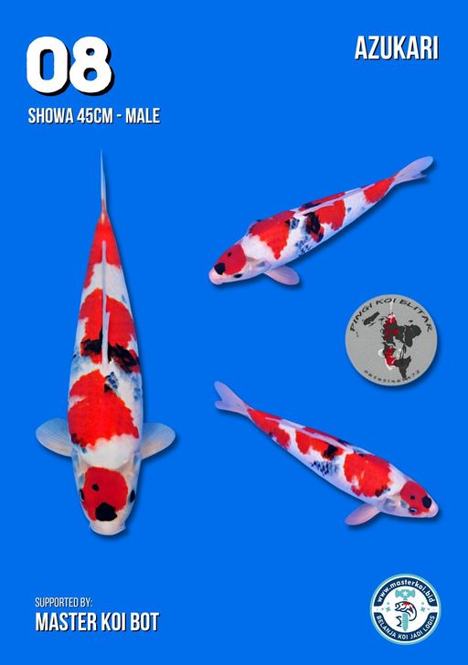 Lelang Koi Online, Jual Beli Ikan Koi, Pusat Jual Beli Koi, Info Lelang Koi Hari Ini, Platform Jual Beli Koi, Jual Beli Ikan Koi Online, Marketplace Ikan Koi, Jual Koi Terbaik, Tempat Beli Koi Berkualitas, Pasar Ikan Koi Online Terpercaya, Penjual Ikan Koi Terpercaya, Beli Koi Hias Online, Ikan Koi untuk Dijual, Koi Kualitas Terbaik, Toko Online Ikan Koi, Koi Hias Untuk Dijual, Jual Beli Ikan Koi Lokal, Koi Indonesia Online, Pusat Jual Beli Koi Terbesar