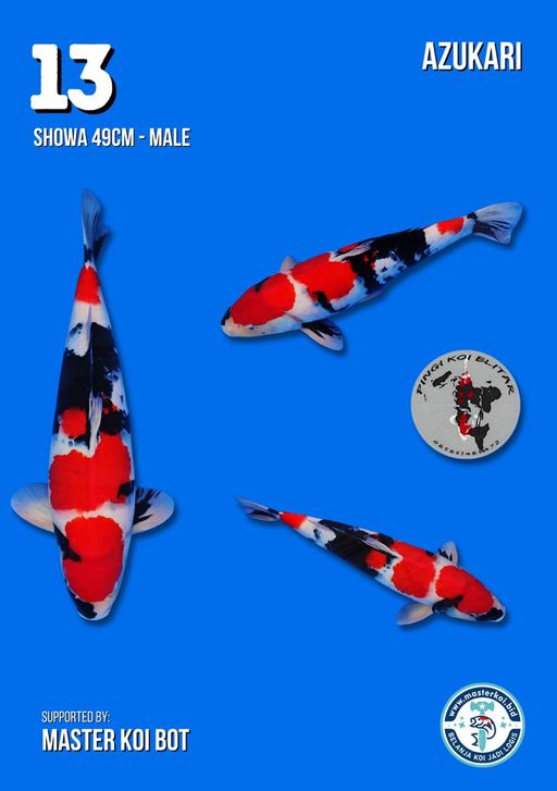 Lelang Koi Online, Jual Beli Ikan Koi, Pusat Jual Beli Koi, Info Lelang Koi Hari Ini, Platform Jual Beli Koi, Jual Beli Ikan Koi Online, Marketplace Ikan Koi, Jual Koi Terbaik, Tempat Beli Koi Berkualitas, Pasar Ikan Koi Online Terpercaya, Penjual Ikan Koi Terpercaya, Beli Koi Hias Online, Ikan Koi untuk Dijual, Koi Kualitas Terbaik, Toko Online Ikan Koi, Koi Hias Untuk Dijual, Jual Beli Ikan Koi Lokal, Koi Indonesia Online, Pusat Jual Beli Koi Terbesar