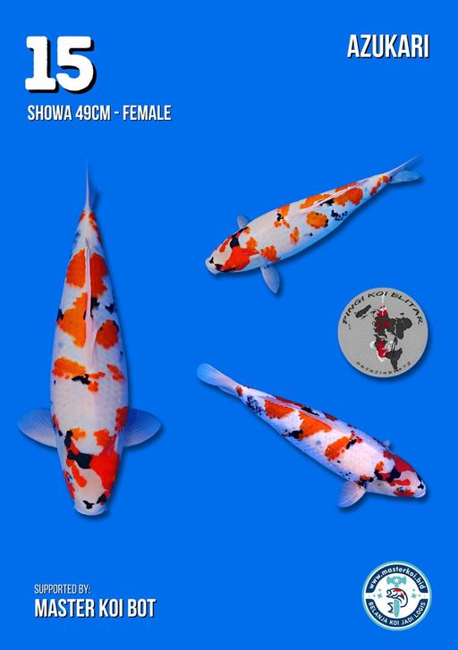 Lelang Koi Online, Jual Beli Ikan Koi, Pusat Jual Beli Koi, Info Lelang Koi Hari Ini, Platform Jual Beli Koi, Jual Beli Ikan Koi Online, Marketplace Ikan Koi, Jual Koi Terbaik, Tempat Beli Koi Berkualitas, Pasar Ikan Koi Online Terpercaya, Penjual Ikan Koi Terpercaya, Beli Koi Hias Online, Ikan Koi untuk Dijual, Koi Kualitas Terbaik, Toko Online Ikan Koi, Koi Hias Untuk Dijual, Jual Beli Ikan Koi Lokal, Koi Indonesia Online, Pusat Jual Beli Koi Terbesar