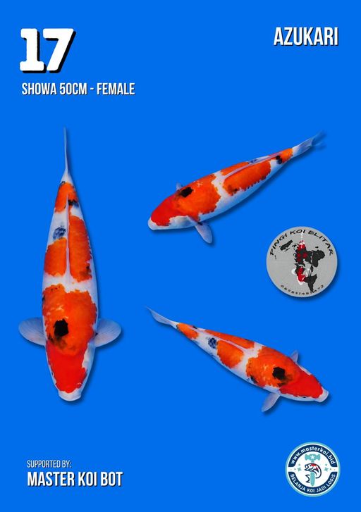 Lelang Koi Online, Jual Beli Ikan Koi, Pusat Jual Beli Koi, Info Lelang Koi Hari Ini, Platform Jual Beli Koi, Jual Beli Ikan Koi Online, Marketplace Ikan Koi, Jual Koi Terbaik, Tempat Beli Koi Berkualitas, Pasar Ikan Koi Online Terpercaya, Penjual Ikan Koi Terpercaya, Beli Koi Hias Online, Ikan Koi untuk Dijual, Koi Kualitas Terbaik, Toko Online Ikan Koi, Koi Hias Untuk Dijual, Jual Beli Ikan Koi Lokal, Koi Indonesia Online, Pusat Jual Beli Koi Terbesar