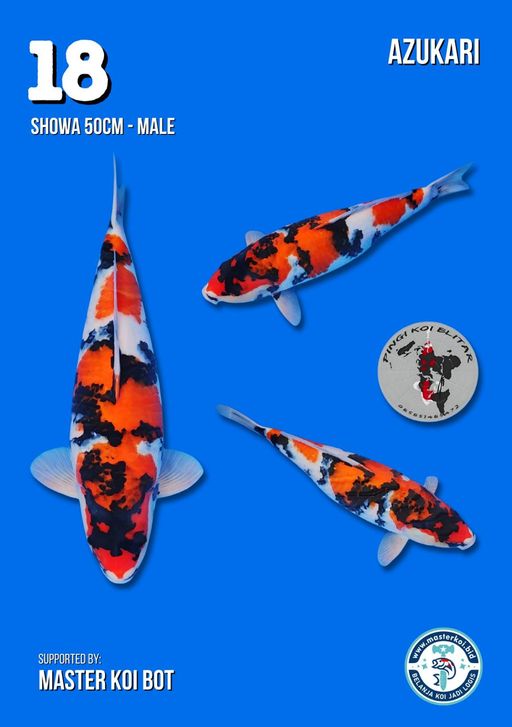 Lelang Koi Online, Jual Beli Ikan Koi, Pusat Jual Beli Koi, Info Lelang Koi Hari Ini, Platform Jual Beli Koi, Jual Beli Ikan Koi Online, Marketplace Ikan Koi, Jual Koi Terbaik, Tempat Beli Koi Berkualitas, Pasar Ikan Koi Online Terpercaya, Penjual Ikan Koi Terpercaya, Beli Koi Hias Online, Ikan Koi untuk Dijual, Koi Kualitas Terbaik, Toko Online Ikan Koi, Koi Hias Untuk Dijual, Jual Beli Ikan Koi Lokal, Koi Indonesia Online, Pusat Jual Beli Koi Terbesar