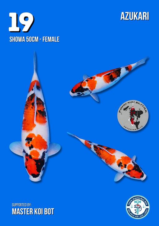 Lelang Koi Online, Jual Beli Ikan Koi, Pusat Jual Beli Koi, Info Lelang Koi Hari Ini, Platform Jual Beli Koi, Jual Beli Ikan Koi Online, Marketplace Ikan Koi, Jual Koi Terbaik, Tempat Beli Koi Berkualitas, Pasar Ikan Koi Online Terpercaya, Penjual Ikan Koi Terpercaya, Beli Koi Hias Online, Ikan Koi untuk Dijual, Koi Kualitas Terbaik, Toko Online Ikan Koi, Koi Hias Untuk Dijual, Jual Beli Ikan Koi Lokal, Koi Indonesia Online, Pusat Jual Beli Koi Terbesar