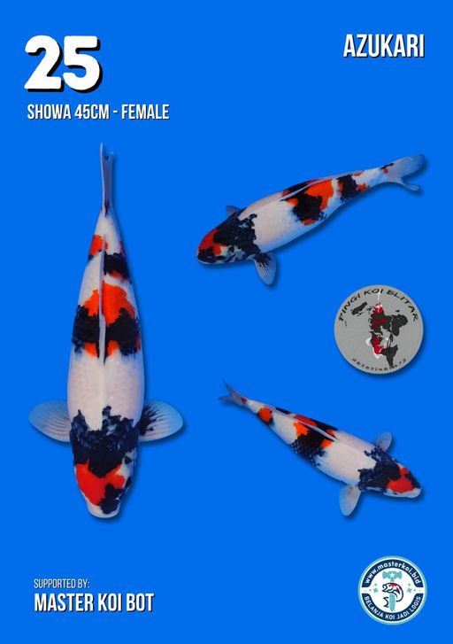 Lelang Koi Online, Jual Beli Ikan Koi, Pusat Jual Beli Koi, Info Lelang Koi Hari Ini, Platform Jual Beli Koi, Jual Beli Ikan Koi Online, Marketplace Ikan Koi, Jual Koi Terbaik, Tempat Beli Koi Berkualitas, Pasar Ikan Koi Online Terpercaya, Penjual Ikan Koi Terpercaya, Beli Koi Hias Online, Ikan Koi untuk Dijual, Koi Kualitas Terbaik, Toko Online Ikan Koi, Koi Hias Untuk Dijual, Jual Beli Ikan Koi Lokal, Koi Indonesia Online, Pusat Jual Beli Koi Terbesar