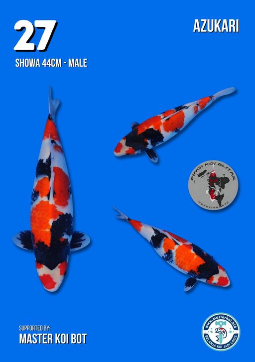 Lelang Koi Online, Jual Beli Ikan Koi, Pusat Jual Beli Koi, Info Lelang Koi Hari Ini, Platform Jual Beli Koi, Jual Beli Ikan Koi Online, Marketplace Ikan Koi, Jual Koi Terbaik, Tempat Beli Koi Berkualitas, Pasar Ikan Koi Online Terpercaya, Penjual Ikan Koi Terpercaya, Beli Koi Hias Online, Ikan Koi untuk Dijual, Koi Kualitas Terbaik, Toko Online Ikan Koi, Koi Hias Untuk Dijual, Jual Beli Ikan Koi Lokal, Koi Indonesia Online, Pusat Jual Beli Koi Terbesar