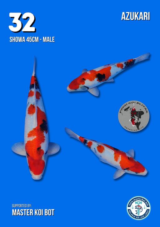 Lelang Koi Online, Jual Beli Ikan Koi, Pusat Jual Beli Koi, Info Lelang Koi Hari Ini, Platform Jual Beli Koi, Jual Beli Ikan Koi Online, Marketplace Ikan Koi, Jual Koi Terbaik, Tempat Beli Koi Berkualitas, Pasar Ikan Koi Online Terpercaya, Penjual Ikan Koi Terpercaya, Beli Koi Hias Online, Ikan Koi untuk Dijual, Koi Kualitas Terbaik, Toko Online Ikan Koi, Koi Hias Untuk Dijual, Jual Beli Ikan Koi Lokal, Koi Indonesia Online, Pusat Jual Beli Koi Terbesar