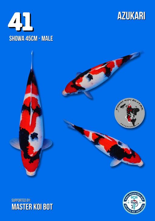 Lelang Koi Online, Jual Beli Ikan Koi, Pusat Jual Beli Koi, Info Lelang Koi Hari Ini, Platform Jual Beli Koi, Jual Beli Ikan Koi Online, Marketplace Ikan Koi, Jual Koi Terbaik, Tempat Beli Koi Berkualitas, Pasar Ikan Koi Online Terpercaya, Penjual Ikan Koi Terpercaya, Beli Koi Hias Online, Ikan Koi untuk Dijual, Koi Kualitas Terbaik, Toko Online Ikan Koi, Koi Hias Untuk Dijual, Jual Beli Ikan Koi Lokal, Koi Indonesia Online, Pusat Jual Beli Koi Terbesar