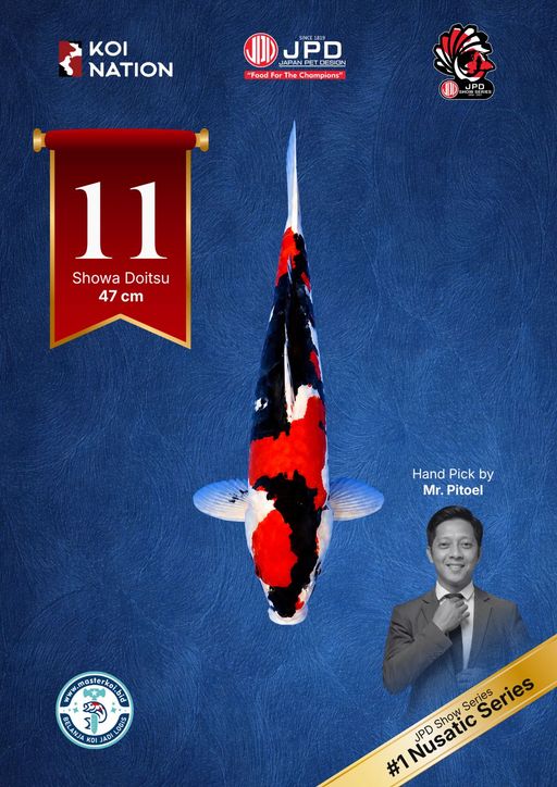 Lelang Koi Online, Jual Beli Ikan Koi, Pusat Jual Beli Koi, Info Lelang Koi Hari Ini, Platform Jual Beli Koi, Jual Beli Ikan Koi Online, Marketplace Ikan Koi, Jual Koi Terbaik, Tempat Beli Koi Berkualitas, Pasar Ikan Koi Online Terpercaya, Penjual Ikan Koi Terpercaya, Beli Koi Hias Online, Ikan Koi untuk Dijual, Koi Kualitas Terbaik, Toko Online Ikan Koi, Koi Hias Untuk Dijual, Jual Beli Ikan Koi Lokal, Koi Indonesia Online, Pusat Jual Beli Koi Terbesar