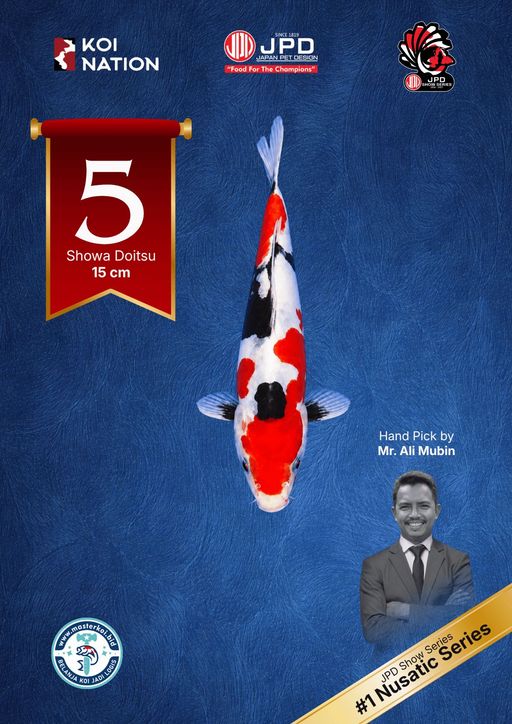 Lelang Koi Online, Jual Beli Ikan Koi, Pusat Jual Beli Koi, Info Lelang Koi Hari Ini, Platform Jual Beli Koi, Jual Beli Ikan Koi Online, Marketplace Ikan Koi, Jual Koi Terbaik, Tempat Beli Koi Berkualitas, Pasar Ikan Koi Online Terpercaya, Penjual Ikan Koi Terpercaya, Beli Koi Hias Online, Ikan Koi untuk Dijual, Koi Kualitas Terbaik, Toko Online Ikan Koi, Koi Hias Untuk Dijual, Jual Beli Ikan Koi Lokal, Koi Indonesia Online, Pusat Jual Beli Koi Terbesar