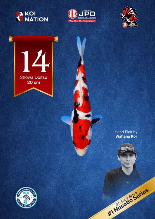 Lelang Koi Online, Jual Beli Ikan Koi, Pusat Jual Beli Koi, Info Lelang Koi Hari Ini, Platform Jual Beli Koi, Jual Beli Ikan Koi Online, Marketplace Ikan Koi, Jual Koi Terbaik, Tempat Beli Koi Berkualitas, Pasar Ikan Koi Online Terpercaya, Penjual Ikan Koi Terpercaya, Beli Koi Hias Online, Ikan Koi untuk Dijual, Koi Kualitas Terbaik, Toko Online Ikan Koi, Koi Hias Untuk Dijual, Jual Beli Ikan Koi Lokal, Koi Indonesia Online, Pusat Jual Beli Koi Terbesar
