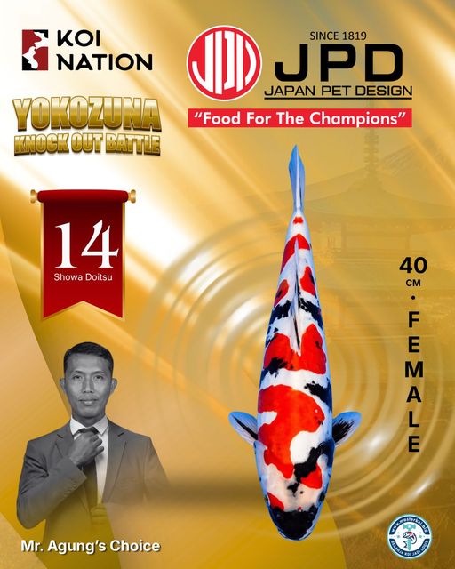 Lelang Koi Online, Jual Beli Ikan Koi, Pusat Jual Beli Koi, Info Lelang Koi Hari Ini, Platform Jual Beli Koi, Jual Beli Ikan Koi Online, Marketplace Ikan Koi, Jual Koi Terbaik, Tempat Beli Koi Berkualitas, Pasar Ikan Koi Online Terpercaya, Penjual Ikan Koi Terpercaya, Beli Koi Hias Online, Ikan Koi untuk Dijual, Koi Kualitas Terbaik, Toko Online Ikan Koi, Koi Hias Untuk Dijual, Jual Beli Ikan Koi Lokal, Koi Indonesia Online, Pusat Jual Beli Koi Terbesar