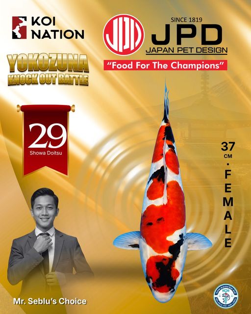 Lelang Koi Online, Jual Beli Ikan Koi, Pusat Jual Beli Koi, Info Lelang Koi Hari Ini, Platform Jual Beli Koi, Jual Beli Ikan Koi Online, Marketplace Ikan Koi, Jual Koi Terbaik, Tempat Beli Koi Berkualitas, Pasar Ikan Koi Online Terpercaya, Penjual Ikan Koi Terpercaya, Beli Koi Hias Online, Ikan Koi untuk Dijual, Koi Kualitas Terbaik, Toko Online Ikan Koi, Koi Hias Untuk Dijual, Jual Beli Ikan Koi Lokal, Koi Indonesia Online, Pusat Jual Beli Koi Terbesar