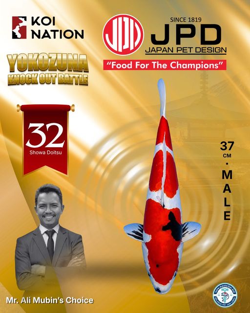 Lelang Koi Online, Jual Beli Ikan Koi, Pusat Jual Beli Koi, Info Lelang Koi Hari Ini, Platform Jual Beli Koi, Jual Beli Ikan Koi Online, Marketplace Ikan Koi, Jual Koi Terbaik, Tempat Beli Koi Berkualitas, Pasar Ikan Koi Online Terpercaya, Penjual Ikan Koi Terpercaya, Beli Koi Hias Online, Ikan Koi untuk Dijual, Koi Kualitas Terbaik, Toko Online Ikan Koi, Koi Hias Untuk Dijual, Jual Beli Ikan Koi Lokal, Koi Indonesia Online, Pusat Jual Beli Koi Terbesar
