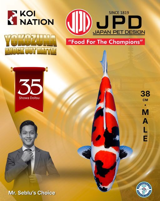 Lelang Koi Online, Jual Beli Ikan Koi, Pusat Jual Beli Koi, Info Lelang Koi Hari Ini, Platform Jual Beli Koi, Jual Beli Ikan Koi Online, Marketplace Ikan Koi, Jual Koi Terbaik, Tempat Beli Koi Berkualitas, Pasar Ikan Koi Online Terpercaya, Penjual Ikan Koi Terpercaya, Beli Koi Hias Online, Ikan Koi untuk Dijual, Koi Kualitas Terbaik, Toko Online Ikan Koi, Koi Hias Untuk Dijual, Jual Beli Ikan Koi Lokal, Koi Indonesia Online, Pusat Jual Beli Koi Terbesar