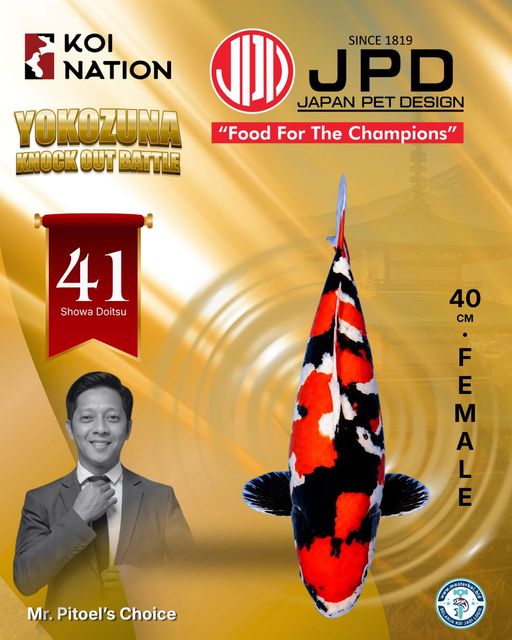 Lelang Koi Online, Jual Beli Ikan Koi, Pusat Jual Beli Koi, Info Lelang Koi Hari Ini, Platform Jual Beli Koi, Jual Beli Ikan Koi Online, Marketplace Ikan Koi, Jual Koi Terbaik, Tempat Beli Koi Berkualitas, Pasar Ikan Koi Online Terpercaya, Penjual Ikan Koi Terpercaya, Beli Koi Hias Online, Ikan Koi untuk Dijual, Koi Kualitas Terbaik, Toko Online Ikan Koi, Koi Hias Untuk Dijual, Jual Beli Ikan Koi Lokal, Koi Indonesia Online, Pusat Jual Beli Koi Terbesar