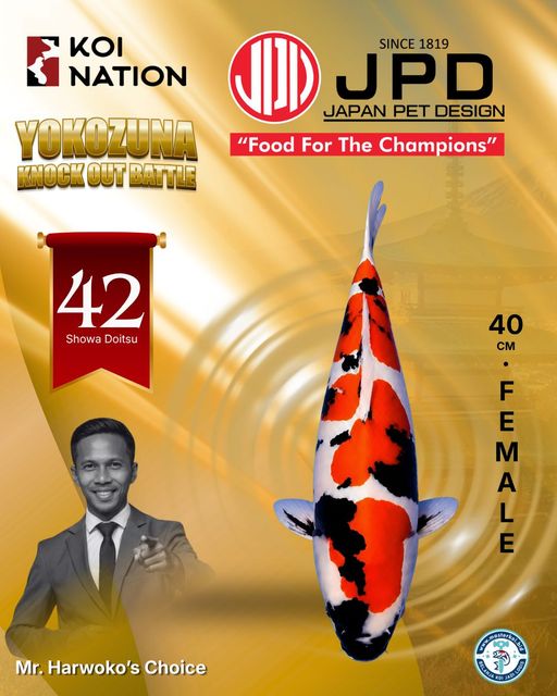 Lelang Koi Online, Jual Beli Ikan Koi, Pusat Jual Beli Koi, Info Lelang Koi Hari Ini, Platform Jual Beli Koi, Jual Beli Ikan Koi Online, Marketplace Ikan Koi, Jual Koi Terbaik, Tempat Beli Koi Berkualitas, Pasar Ikan Koi Online Terpercaya, Penjual Ikan Koi Terpercaya, Beli Koi Hias Online, Ikan Koi untuk Dijual, Koi Kualitas Terbaik, Toko Online Ikan Koi, Koi Hias Untuk Dijual, Jual Beli Ikan Koi Lokal, Koi Indonesia Online, Pusat Jual Beli Koi Terbesar