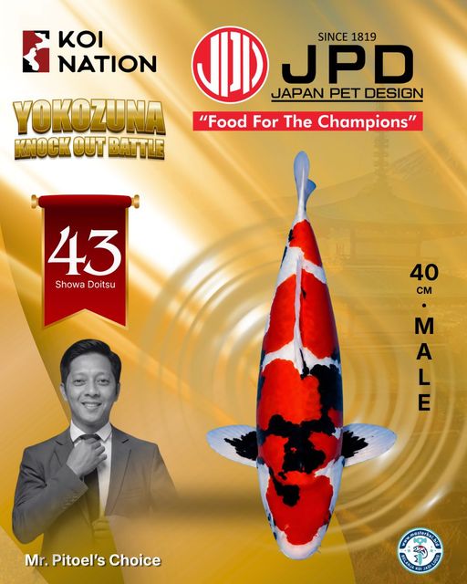 Lelang Koi Online, Jual Beli Ikan Koi, Pusat Jual Beli Koi, Info Lelang Koi Hari Ini, Platform Jual Beli Koi, Jual Beli Ikan Koi Online, Marketplace Ikan Koi, Jual Koi Terbaik, Tempat Beli Koi Berkualitas, Pasar Ikan Koi Online Terpercaya, Penjual Ikan Koi Terpercaya, Beli Koi Hias Online, Ikan Koi untuk Dijual, Koi Kualitas Terbaik, Toko Online Ikan Koi, Koi Hias Untuk Dijual, Jual Beli Ikan Koi Lokal, Koi Indonesia Online, Pusat Jual Beli Koi Terbesar