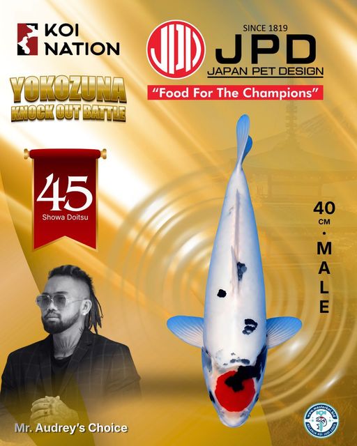 Lelang Koi Online, Jual Beli Ikan Koi, Pusat Jual Beli Koi, Info Lelang Koi Hari Ini, Platform Jual Beli Koi, Jual Beli Ikan Koi Online, Marketplace Ikan Koi, Jual Koi Terbaik, Tempat Beli Koi Berkualitas, Pasar Ikan Koi Online Terpercaya, Penjual Ikan Koi Terpercaya, Beli Koi Hias Online, Ikan Koi untuk Dijual, Koi Kualitas Terbaik, Toko Online Ikan Koi, Koi Hias Untuk Dijual, Jual Beli Ikan Koi Lokal, Koi Indonesia Online, Pusat Jual Beli Koi Terbesar