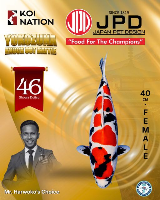Lelang Koi Online, Jual Beli Ikan Koi, Pusat Jual Beli Koi, Info Lelang Koi Hari Ini, Platform Jual Beli Koi, Jual Beli Ikan Koi Online, Marketplace Ikan Koi, Jual Koi Terbaik, Tempat Beli Koi Berkualitas, Pasar Ikan Koi Online Terpercaya, Penjual Ikan Koi Terpercaya, Beli Koi Hias Online, Ikan Koi untuk Dijual, Koi Kualitas Terbaik, Toko Online Ikan Koi, Koi Hias Untuk Dijual, Jual Beli Ikan Koi Lokal, Koi Indonesia Online, Pusat Jual Beli Koi Terbesar