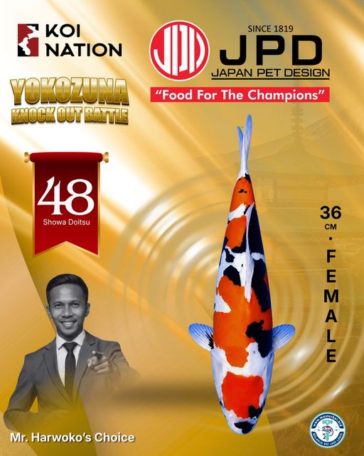 Lelang Koi Online, Jual Beli Ikan Koi, Pusat Jual Beli Koi, Info Lelang Koi Hari Ini, Platform Jual Beli Koi, Jual Beli Ikan Koi Online, Marketplace Ikan Koi, Jual Koi Terbaik, Tempat Beli Koi Berkualitas, Pasar Ikan Koi Online Terpercaya, Penjual Ikan Koi Terpercaya, Beli Koi Hias Online, Ikan Koi untuk Dijual, Koi Kualitas Terbaik, Toko Online Ikan Koi, Koi Hias Untuk Dijual, Jual Beli Ikan Koi Lokal, Koi Indonesia Online, Pusat Jual Beli Koi Terbesar