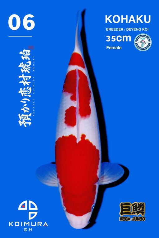 Lelang Koi Online, Jual Beli Ikan Koi, Pusat Jual Beli Koi, Info Lelang Koi Hari Ini, Platform Jual Beli Koi, Jual Beli Ikan Koi Online, Marketplace Ikan Koi, Jual Koi Terbaik, Tempat Beli Koi Berkualitas, Pasar Ikan Koi Online Terpercaya, Penjual Ikan Koi Terpercaya, Beli Koi Hias Online, Ikan Koi untuk Dijual, Koi Kualitas Terbaik, Toko Online Ikan Koi, Koi Hias Untuk Dijual, Jual Beli Ikan Koi Lokal, Koi Indonesia Online, Pusat Jual Beli Koi Terbesar