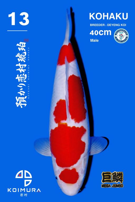 Lelang Koi Online, Jual Beli Ikan Koi, Pusat Jual Beli Koi, Info Lelang Koi Hari Ini, Platform Jual Beli Koi, Jual Beli Ikan Koi Online, Marketplace Ikan Koi, Jual Koi Terbaik, Tempat Beli Koi Berkualitas, Pasar Ikan Koi Online Terpercaya, Penjual Ikan Koi Terpercaya, Beli Koi Hias Online, Ikan Koi untuk Dijual, Koi Kualitas Terbaik, Toko Online Ikan Koi, Koi Hias Untuk Dijual, Jual Beli Ikan Koi Lokal, Koi Indonesia Online, Pusat Jual Beli Koi Terbesar