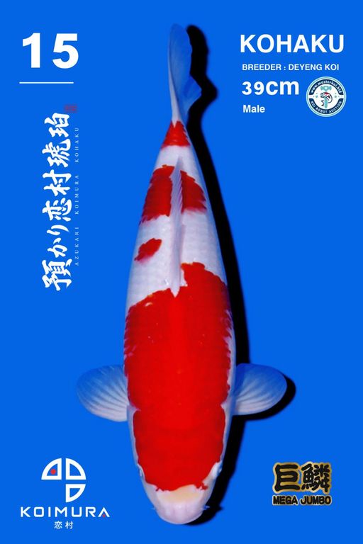 Lelang Koi Online, Jual Beli Ikan Koi, Pusat Jual Beli Koi, Info Lelang Koi Hari Ini, Platform Jual Beli Koi, Jual Beli Ikan Koi Online, Marketplace Ikan Koi, Jual Koi Terbaik, Tempat Beli Koi Berkualitas, Pasar Ikan Koi Online Terpercaya, Penjual Ikan Koi Terpercaya, Beli Koi Hias Online, Ikan Koi untuk Dijual, Koi Kualitas Terbaik, Toko Online Ikan Koi, Koi Hias Untuk Dijual, Jual Beli Ikan Koi Lokal, Koi Indonesia Online, Pusat Jual Beli Koi Terbesar