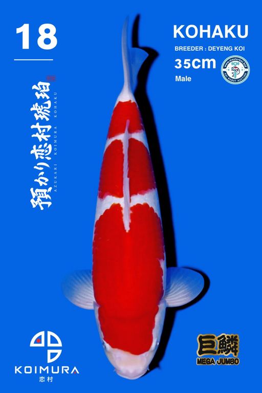Lelang Koi Online, Jual Beli Ikan Koi, Pusat Jual Beli Koi, Info Lelang Koi Hari Ini, Platform Jual Beli Koi, Jual Beli Ikan Koi Online, Marketplace Ikan Koi, Jual Koi Terbaik, Tempat Beli Koi Berkualitas, Pasar Ikan Koi Online Terpercaya, Penjual Ikan Koi Terpercaya, Beli Koi Hias Online, Ikan Koi untuk Dijual, Koi Kualitas Terbaik, Toko Online Ikan Koi, Koi Hias Untuk Dijual, Jual Beli Ikan Koi Lokal, Koi Indonesia Online, Pusat Jual Beli Koi Terbesar