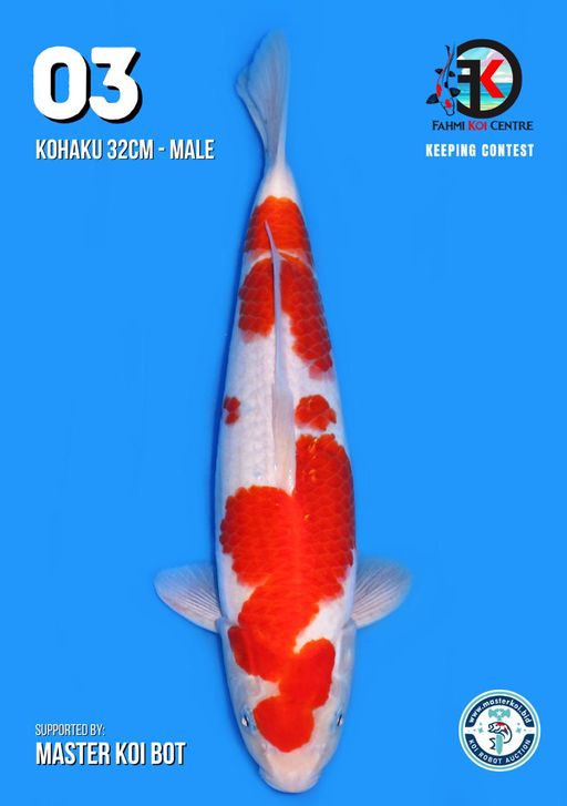 Lelang Koi Online, Jual Beli Ikan Koi, Pusat Jual Beli Koi, Info Lelang Koi Hari Ini, Platform Jual Beli Koi, Jual Beli Ikan Koi Online, Marketplace Ikan Koi, Jual Koi Terbaik, Tempat Beli Koi Berkualitas, Pasar Ikan Koi Online Terpercaya, Penjual Ikan Koi Terpercaya, Beli Koi Hias Online, Ikan Koi untuk Dijual, Koi Kualitas Terbaik, Toko Online Ikan Koi, Koi Hias Untuk Dijual, Jual Beli Ikan Koi Lokal, Koi Indonesia Online, Pusat Jual Beli Koi Terbesar