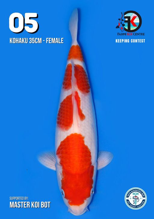 Lelang Koi Online, Jual Beli Ikan Koi, Pusat Jual Beli Koi, Info Lelang Koi Hari Ini, Platform Jual Beli Koi, Jual Beli Ikan Koi Online, Marketplace Ikan Koi, Jual Koi Terbaik, Tempat Beli Koi Berkualitas, Pasar Ikan Koi Online Terpercaya, Penjual Ikan Koi Terpercaya, Beli Koi Hias Online, Ikan Koi untuk Dijual, Koi Kualitas Terbaik, Toko Online Ikan Koi, Koi Hias Untuk Dijual, Jual Beli Ikan Koi Lokal, Koi Indonesia Online, Pusat Jual Beli Koi Terbesar