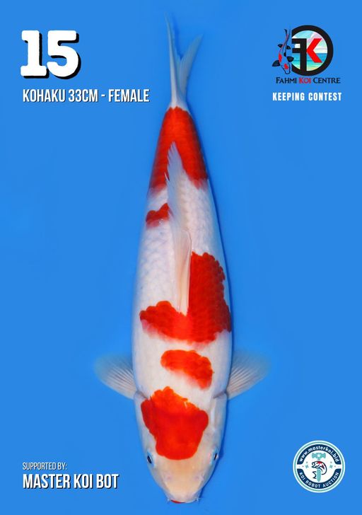 Lelang Koi Online, Jual Beli Ikan Koi, Pusat Jual Beli Koi, Info Lelang Koi Hari Ini, Platform Jual Beli Koi, Jual Beli Ikan Koi Online, Marketplace Ikan Koi, Jual Koi Terbaik, Tempat Beli Koi Berkualitas, Pasar Ikan Koi Online Terpercaya, Penjual Ikan Koi Terpercaya, Beli Koi Hias Online, Ikan Koi untuk Dijual, Koi Kualitas Terbaik, Toko Online Ikan Koi, Koi Hias Untuk Dijual, Jual Beli Ikan Koi Lokal, Koi Indonesia Online, Pusat Jual Beli Koi Terbesar