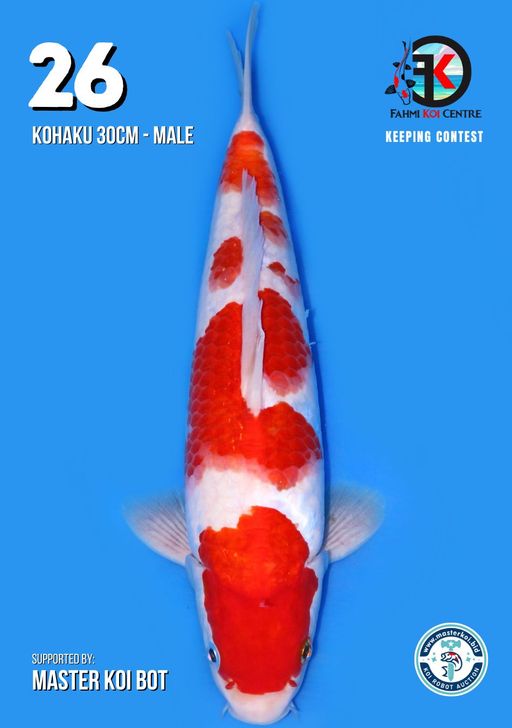 Lelang Koi Online, Jual Beli Ikan Koi, Pusat Jual Beli Koi, Info Lelang Koi Hari Ini, Platform Jual Beli Koi, Jual Beli Ikan Koi Online, Marketplace Ikan Koi, Jual Koi Terbaik, Tempat Beli Koi Berkualitas, Pasar Ikan Koi Online Terpercaya, Penjual Ikan Koi Terpercaya, Beli Koi Hias Online, Ikan Koi untuk Dijual, Koi Kualitas Terbaik, Toko Online Ikan Koi, Koi Hias Untuk Dijual, Jual Beli Ikan Koi Lokal, Koi Indonesia Online, Pusat Jual Beli Koi Terbesar