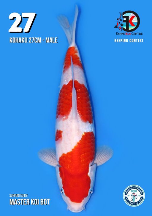 Lelang Koi Online, Jual Beli Ikan Koi, Pusat Jual Beli Koi, Info Lelang Koi Hari Ini, Platform Jual Beli Koi, Jual Beli Ikan Koi Online, Marketplace Ikan Koi, Jual Koi Terbaik, Tempat Beli Koi Berkualitas, Pasar Ikan Koi Online Terpercaya, Penjual Ikan Koi Terpercaya, Beli Koi Hias Online, Ikan Koi untuk Dijual, Koi Kualitas Terbaik, Toko Online Ikan Koi, Koi Hias Untuk Dijual, Jual Beli Ikan Koi Lokal, Koi Indonesia Online, Pusat Jual Beli Koi Terbesar