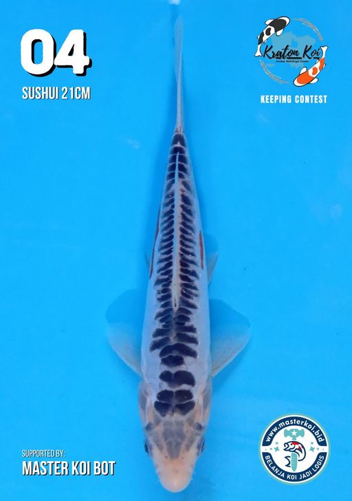 Lelang Koi Online, Jual Beli Ikan Koi, Pusat Jual Beli Koi, Info Lelang Koi Hari Ini, Platform Jual Beli Koi, Jual Beli Ikan Koi Online, Marketplace Ikan Koi, Jual Koi Terbaik, Tempat Beli Koi Berkualitas, Pasar Ikan Koi Online Terpercaya, Penjual Ikan Koi Terpercaya, Beli Koi Hias Online, Ikan Koi untuk Dijual, Koi Kualitas Terbaik, Toko Online Ikan Koi, Koi Hias Untuk Dijual, Jual Beli Ikan Koi Lokal, Koi Indonesia Online, Pusat Jual Beli Koi Terbesar