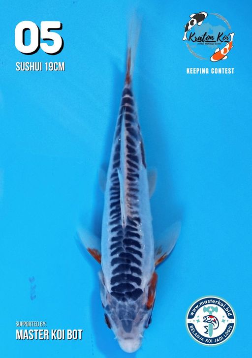 Lelang Koi Online, Jual Beli Ikan Koi, Pusat Jual Beli Koi, Info Lelang Koi Hari Ini, Platform Jual Beli Koi, Jual Beli Ikan Koi Online, Marketplace Ikan Koi, Jual Koi Terbaik, Tempat Beli Koi Berkualitas, Pasar Ikan Koi Online Terpercaya, Penjual Ikan Koi Terpercaya, Beli Koi Hias Online, Ikan Koi untuk Dijual, Koi Kualitas Terbaik, Toko Online Ikan Koi, Koi Hias Untuk Dijual, Jual Beli Ikan Koi Lokal, Koi Indonesia Online, Pusat Jual Beli Koi Terbesar