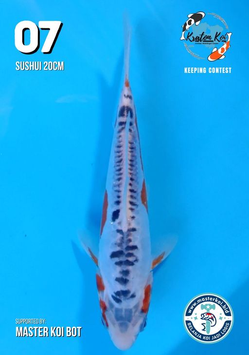 Lelang Koi Online, Jual Beli Ikan Koi, Pusat Jual Beli Koi, Info Lelang Koi Hari Ini, Platform Jual Beli Koi, Jual Beli Ikan Koi Online, Marketplace Ikan Koi, Jual Koi Terbaik, Tempat Beli Koi Berkualitas, Pasar Ikan Koi Online Terpercaya, Penjual Ikan Koi Terpercaya, Beli Koi Hias Online, Ikan Koi untuk Dijual, Koi Kualitas Terbaik, Toko Online Ikan Koi, Koi Hias Untuk Dijual, Jual Beli Ikan Koi Lokal, Koi Indonesia Online, Pusat Jual Beli Koi Terbesar