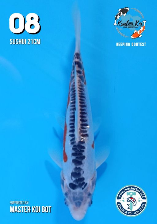 Lelang Koi Online, Jual Beli Ikan Koi, Pusat Jual Beli Koi, Info Lelang Koi Hari Ini, Platform Jual Beli Koi, Jual Beli Ikan Koi Online, Marketplace Ikan Koi, Jual Koi Terbaik, Tempat Beli Koi Berkualitas, Pasar Ikan Koi Online Terpercaya, Penjual Ikan Koi Terpercaya, Beli Koi Hias Online, Ikan Koi untuk Dijual, Koi Kualitas Terbaik, Toko Online Ikan Koi, Koi Hias Untuk Dijual, Jual Beli Ikan Koi Lokal, Koi Indonesia Online, Pusat Jual Beli Koi Terbesar