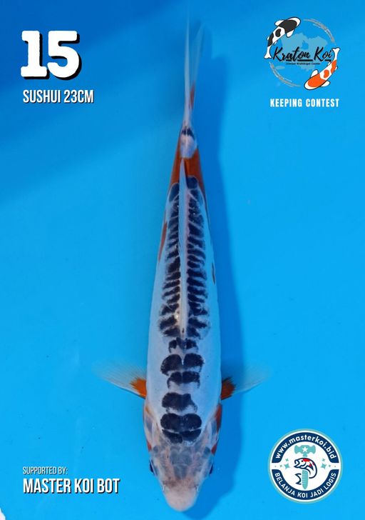 Lelang Koi Online, Jual Beli Ikan Koi, Pusat Jual Beli Koi, Info Lelang Koi Hari Ini, Platform Jual Beli Koi, Jual Beli Ikan Koi Online, Marketplace Ikan Koi, Jual Koi Terbaik, Tempat Beli Koi Berkualitas, Pasar Ikan Koi Online Terpercaya, Penjual Ikan Koi Terpercaya, Beli Koi Hias Online, Ikan Koi untuk Dijual, Koi Kualitas Terbaik, Toko Online Ikan Koi, Koi Hias Untuk Dijual, Jual Beli Ikan Koi Lokal, Koi Indonesia Online, Pusat Jual Beli Koi Terbesar