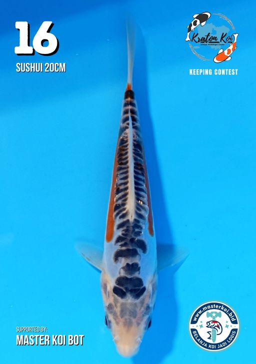 Lelang Koi Online, Jual Beli Ikan Koi, Pusat Jual Beli Koi, Info Lelang Koi Hari Ini, Platform Jual Beli Koi, Jual Beli Ikan Koi Online, Marketplace Ikan Koi, Jual Koi Terbaik, Tempat Beli Koi Berkualitas, Pasar Ikan Koi Online Terpercaya, Penjual Ikan Koi Terpercaya, Beli Koi Hias Online, Ikan Koi untuk Dijual, Koi Kualitas Terbaik, Toko Online Ikan Koi, Koi Hias Untuk Dijual, Jual Beli Ikan Koi Lokal, Koi Indonesia Online, Pusat Jual Beli Koi Terbesar