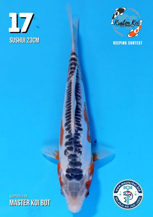 Lelang Koi Online, Jual Beli Ikan Koi, Pusat Jual Beli Koi, Info Lelang Koi Hari Ini, Platform Jual Beli Koi, Jual Beli Ikan Koi Online, Marketplace Ikan Koi, Jual Koi Terbaik, Tempat Beli Koi Berkualitas, Pasar Ikan Koi Online Terpercaya, Penjual Ikan Koi Terpercaya, Beli Koi Hias Online, Ikan Koi untuk Dijual, Koi Kualitas Terbaik, Toko Online Ikan Koi, Koi Hias Untuk Dijual, Jual Beli Ikan Koi Lokal, Koi Indonesia Online, Pusat Jual Beli Koi Terbesar