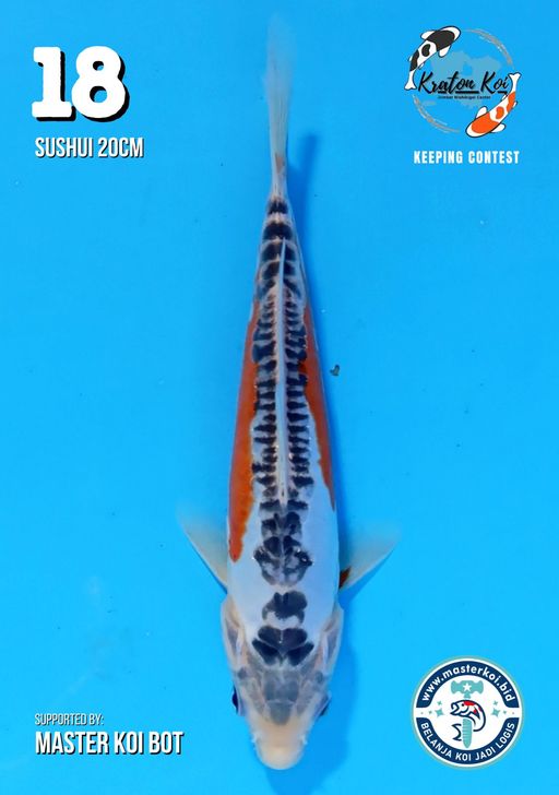 Lelang Koi Online, Jual Beli Ikan Koi, Pusat Jual Beli Koi, Info Lelang Koi Hari Ini, Platform Jual Beli Koi, Jual Beli Ikan Koi Online, Marketplace Ikan Koi, Jual Koi Terbaik, Tempat Beli Koi Berkualitas, Pasar Ikan Koi Online Terpercaya, Penjual Ikan Koi Terpercaya, Beli Koi Hias Online, Ikan Koi untuk Dijual, Koi Kualitas Terbaik, Toko Online Ikan Koi, Koi Hias Untuk Dijual, Jual Beli Ikan Koi Lokal, Koi Indonesia Online, Pusat Jual Beli Koi Terbesar