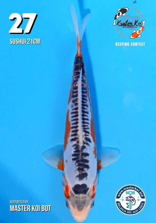 Lelang Koi Online, Jual Beli Ikan Koi, Pusat Jual Beli Koi, Info Lelang Koi Hari Ini, Platform Jual Beli Koi, Jual Beli Ikan Koi Online, Marketplace Ikan Koi, Jual Koi Terbaik, Tempat Beli Koi Berkualitas, Pasar Ikan Koi Online Terpercaya, Penjual Ikan Koi Terpercaya, Beli Koi Hias Online, Ikan Koi untuk Dijual, Koi Kualitas Terbaik, Toko Online Ikan Koi, Koi Hias Untuk Dijual, Jual Beli Ikan Koi Lokal, Koi Indonesia Online, Pusat Jual Beli Koi Terbesar
