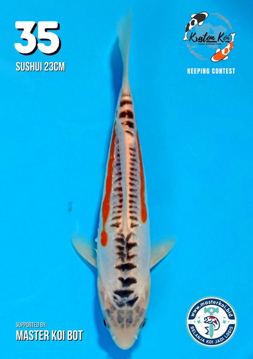 Lelang Koi Online, Jual Beli Ikan Koi, Pusat Jual Beli Koi, Info Lelang Koi Hari Ini, Platform Jual Beli Koi, Jual Beli Ikan Koi Online, Marketplace Ikan Koi, Jual Koi Terbaik, Tempat Beli Koi Berkualitas, Pasar Ikan Koi Online Terpercaya, Penjual Ikan Koi Terpercaya, Beli Koi Hias Online, Ikan Koi untuk Dijual, Koi Kualitas Terbaik, Toko Online Ikan Koi, Koi Hias Untuk Dijual, Jual Beli Ikan Koi Lokal, Koi Indonesia Online, Pusat Jual Beli Koi Terbesar