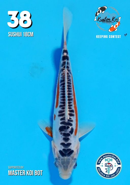 Lelang Koi Online, Jual Beli Ikan Koi, Pusat Jual Beli Koi, Info Lelang Koi Hari Ini, Platform Jual Beli Koi, Jual Beli Ikan Koi Online, Marketplace Ikan Koi, Jual Koi Terbaik, Tempat Beli Koi Berkualitas, Pasar Ikan Koi Online Terpercaya, Penjual Ikan Koi Terpercaya, Beli Koi Hias Online, Ikan Koi untuk Dijual, Koi Kualitas Terbaik, Toko Online Ikan Koi, Koi Hias Untuk Dijual, Jual Beli Ikan Koi Lokal, Koi Indonesia Online, Pusat Jual Beli Koi Terbesar
