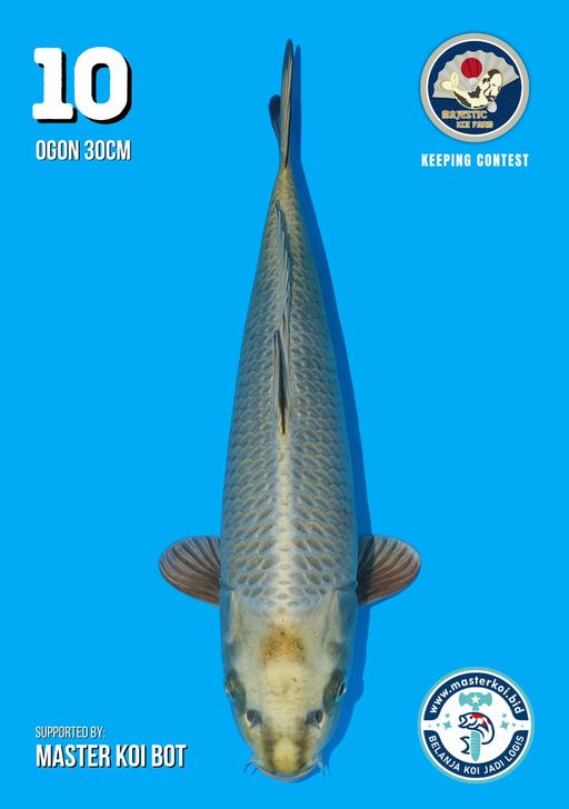 Lelang Koi Online, Jual Beli Ikan Koi, Pusat Jual Beli Koi, Info Lelang Koi Hari Ini, Platform Jual Beli Koi, Jual Beli Ikan Koi Online, Marketplace Ikan Koi, Jual Koi Terbaik, Tempat Beli Koi Berkualitas, Pasar Ikan Koi Online Terpercaya, Penjual Ikan Koi Terpercaya, Beli Koi Hias Online, Ikan Koi untuk Dijual, Koi Kualitas Terbaik, Toko Online Ikan Koi, Koi Hias Untuk Dijual, Jual Beli Ikan Koi Lokal, Koi Indonesia Online, Pusat Jual Beli Koi Terbesar