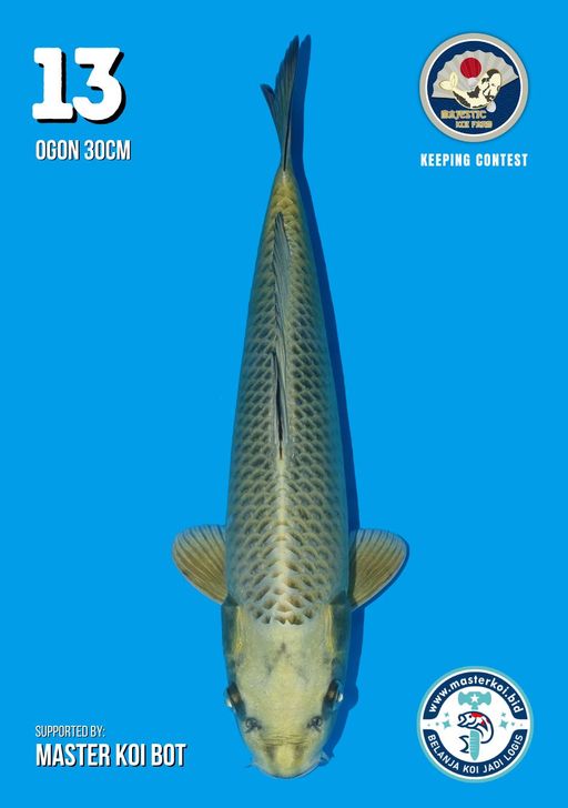 Lelang Koi Online, Jual Beli Ikan Koi, Pusat Jual Beli Koi, Info Lelang Koi Hari Ini, Platform Jual Beli Koi, Jual Beli Ikan Koi Online, Marketplace Ikan Koi, Jual Koi Terbaik, Tempat Beli Koi Berkualitas, Pasar Ikan Koi Online Terpercaya, Penjual Ikan Koi Terpercaya, Beli Koi Hias Online, Ikan Koi untuk Dijual, Koi Kualitas Terbaik, Toko Online Ikan Koi, Koi Hias Untuk Dijual, Jual Beli Ikan Koi Lokal, Koi Indonesia Online, Pusat Jual Beli Koi Terbesar