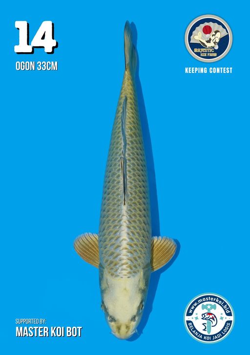 Lelang Koi Online, Jual Beli Ikan Koi, Pusat Jual Beli Koi, Info Lelang Koi Hari Ini, Platform Jual Beli Koi, Jual Beli Ikan Koi Online, Marketplace Ikan Koi, Jual Koi Terbaik, Tempat Beli Koi Berkualitas, Pasar Ikan Koi Online Terpercaya, Penjual Ikan Koi Terpercaya, Beli Koi Hias Online, Ikan Koi untuk Dijual, Koi Kualitas Terbaik, Toko Online Ikan Koi, Koi Hias Untuk Dijual, Jual Beli Ikan Koi Lokal, Koi Indonesia Online, Pusat Jual Beli Koi Terbesar